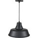 R Series 1 Light 14 inch Satin Black Outdoor Pendant